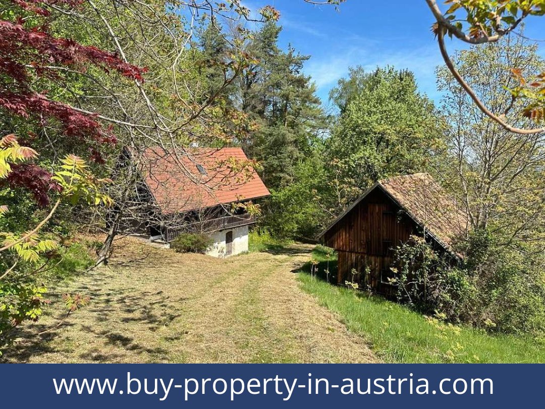 buy-property-in-austria-bad gams-8524-20251010221816-0032401010.jpg